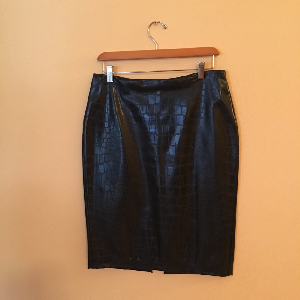 Zara Woman Pleather Skirt.